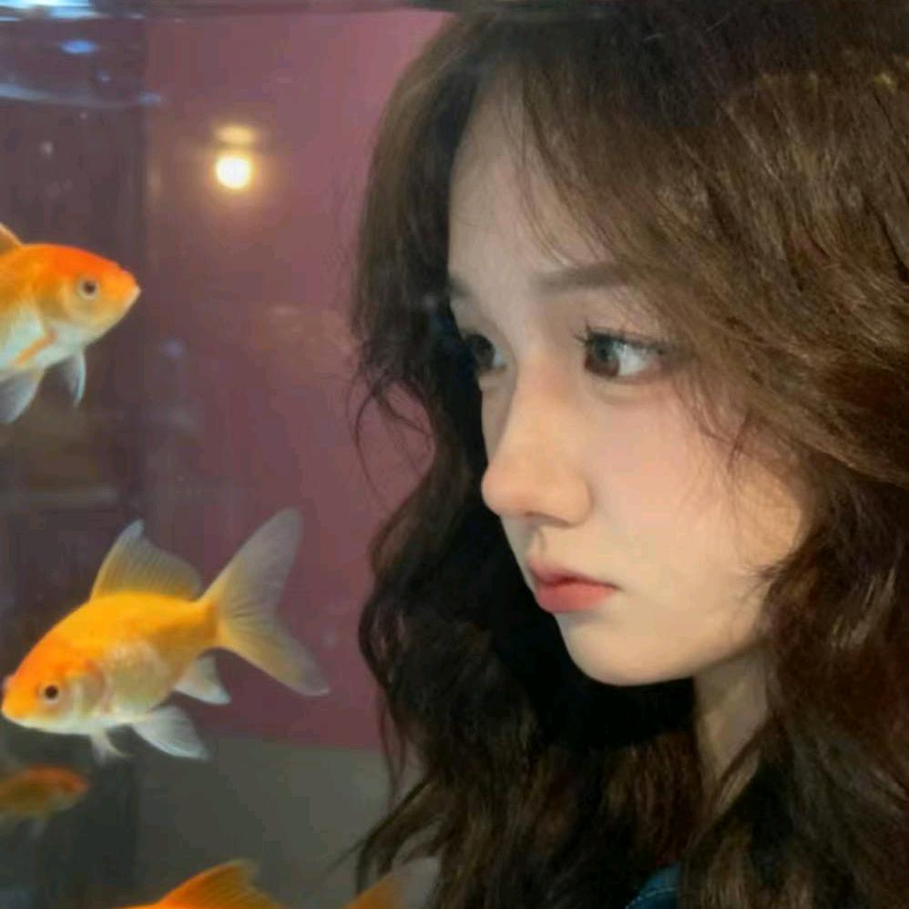 爱吃西红柿的番茄