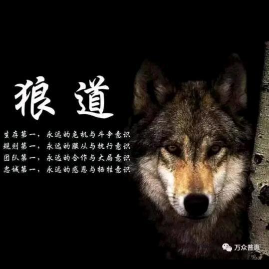 有腿能走路