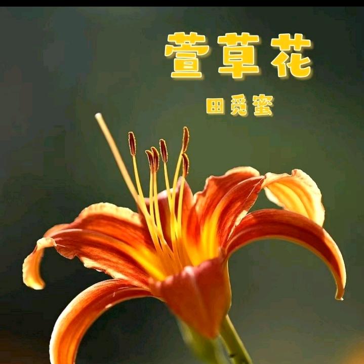 🦋এ᭄是糖ꦿ甜到💔忧伤ོ࿐