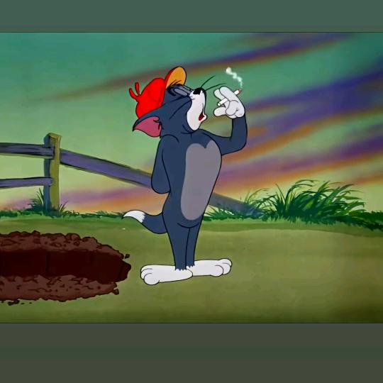 娃哈哈哈哈哈哈哈哈