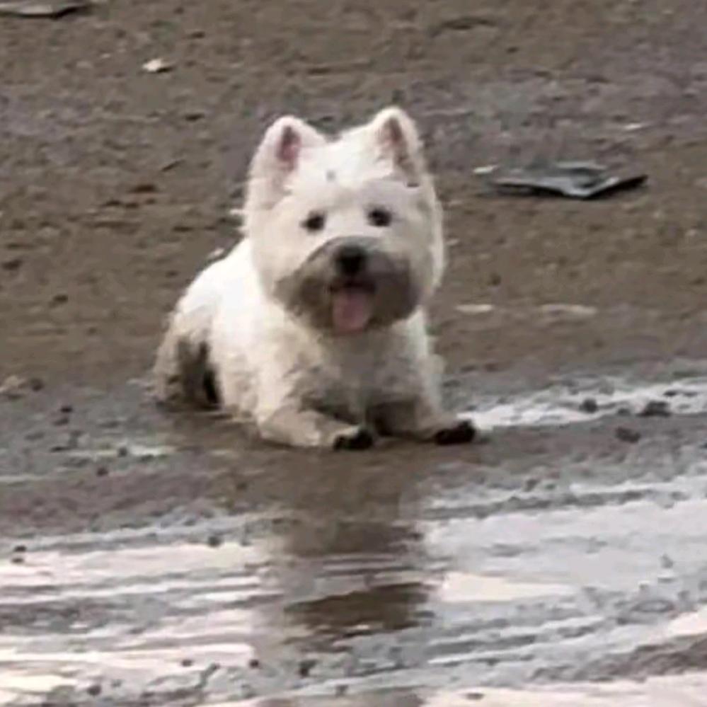 上到几点记得记得看