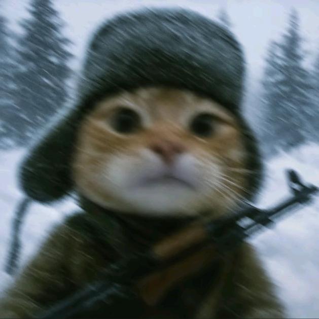 不做有氧🇨🇳