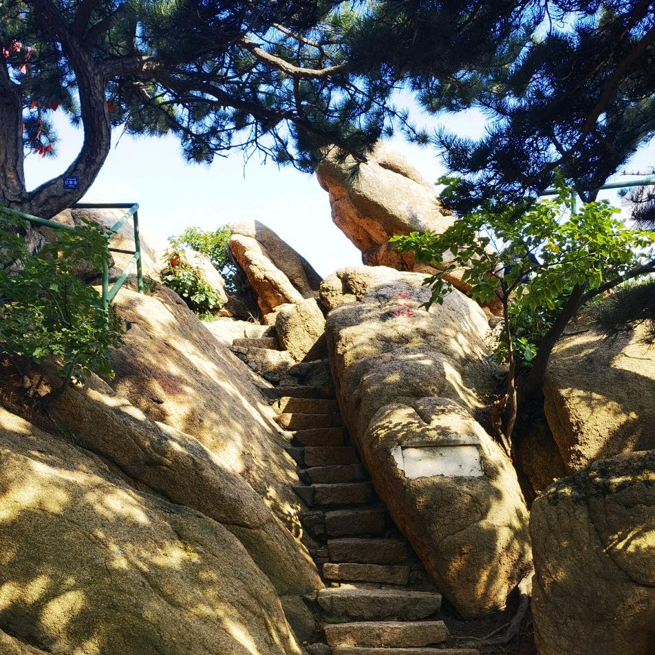快乐小鱼
