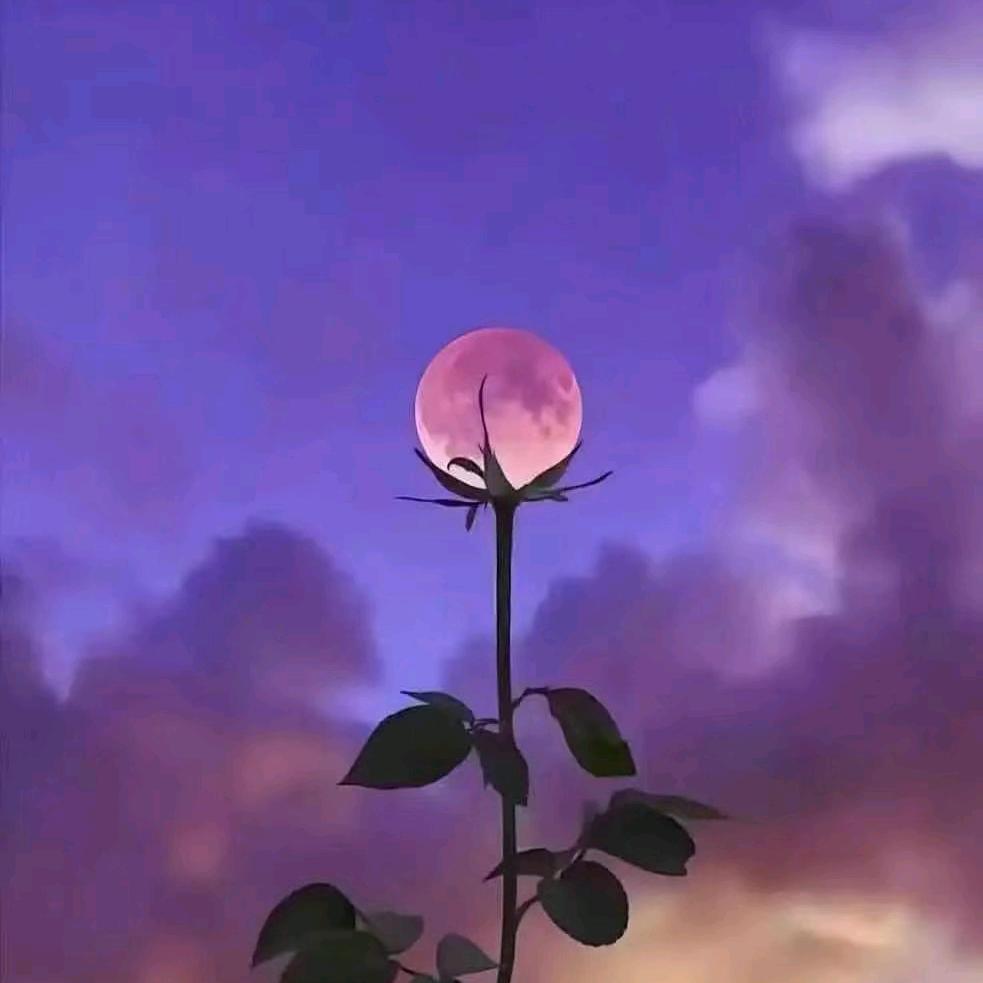 晓会