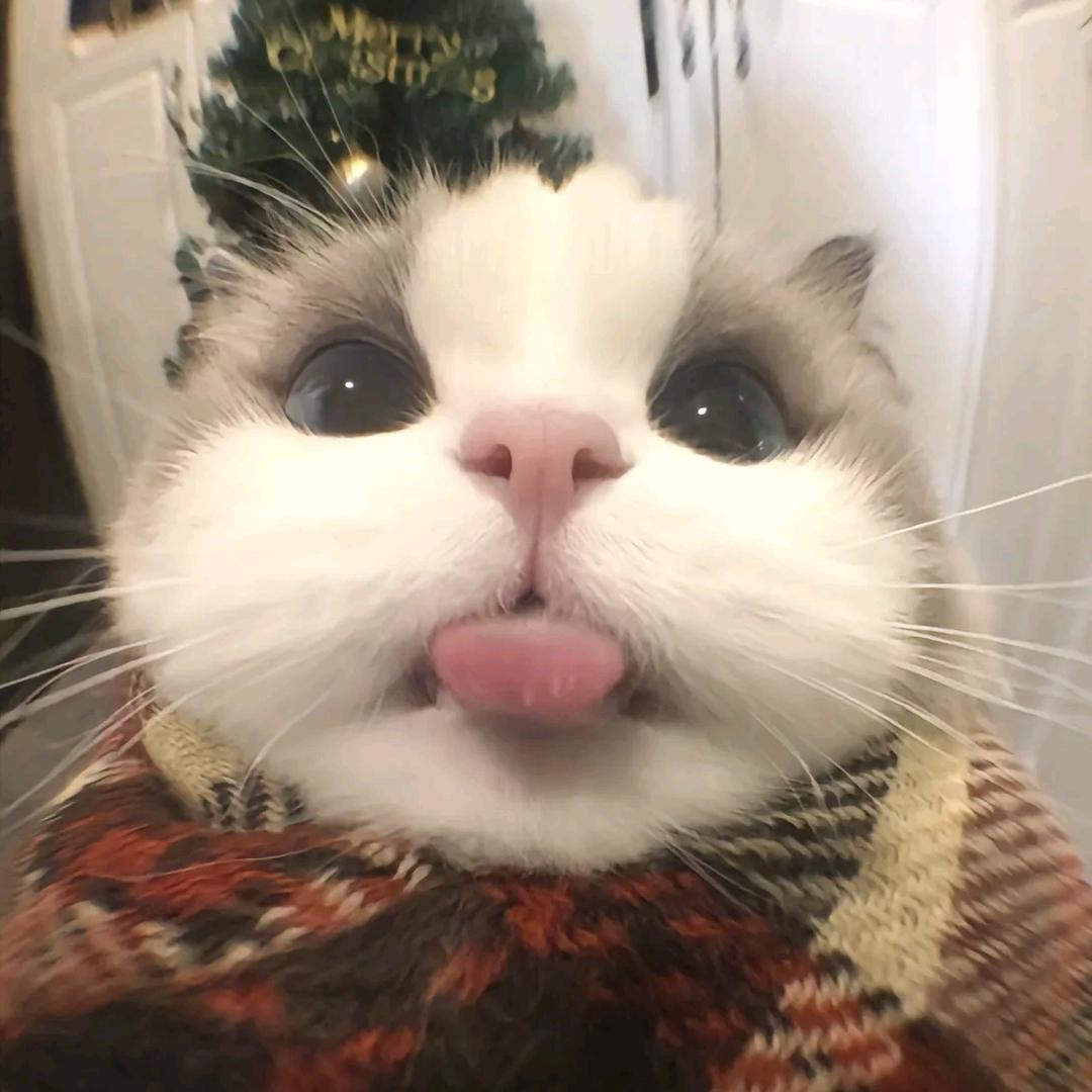 林怀瑾