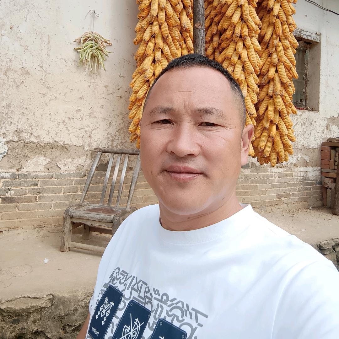 荆紫关情缘婚庆