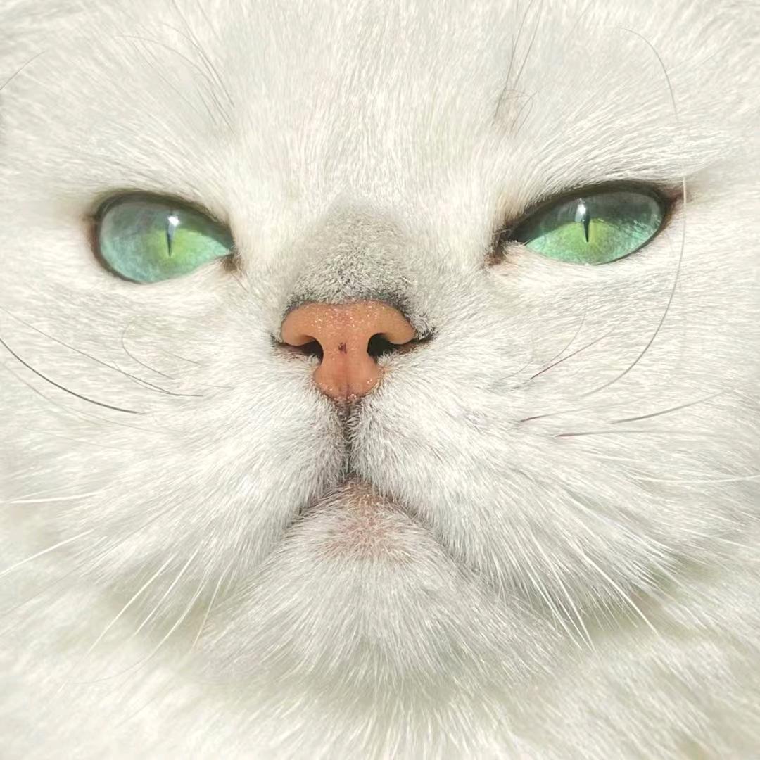 迷人的成熟男人