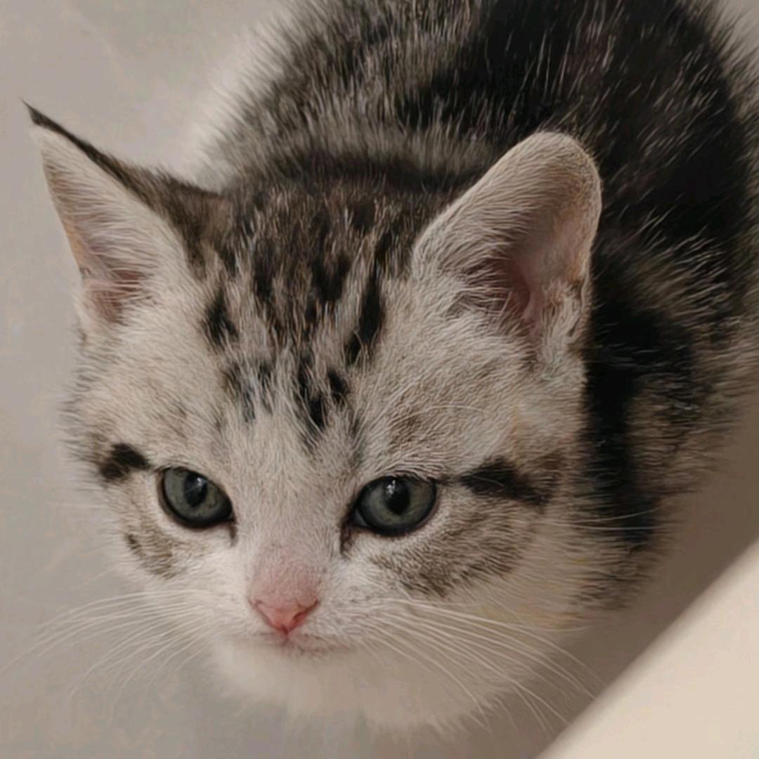 㿝氼¹³¹⁴（xiang ni）