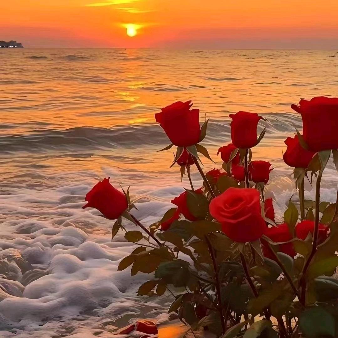 沽源英姐聊天直播间