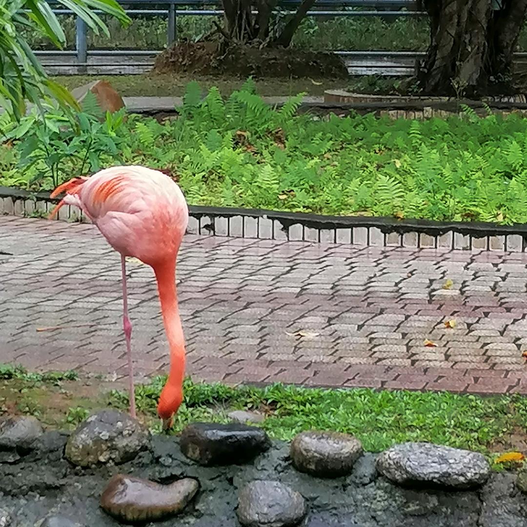 风铃