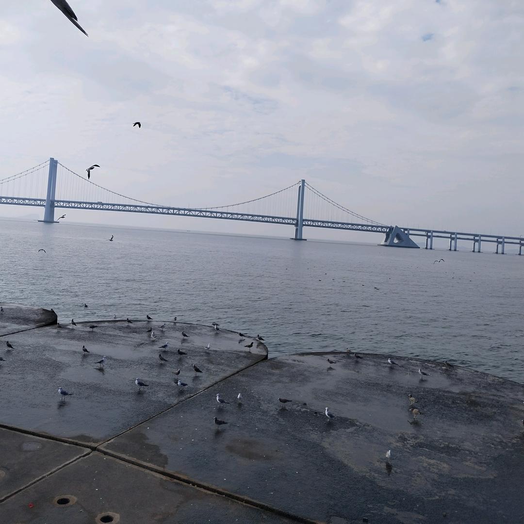 手机用户一生有你