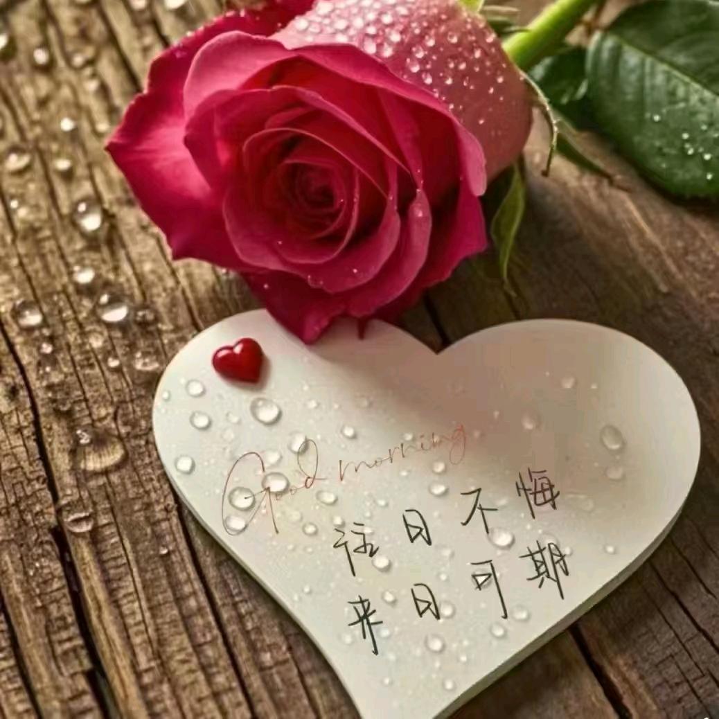 小月🐘（记录生活）拒聊