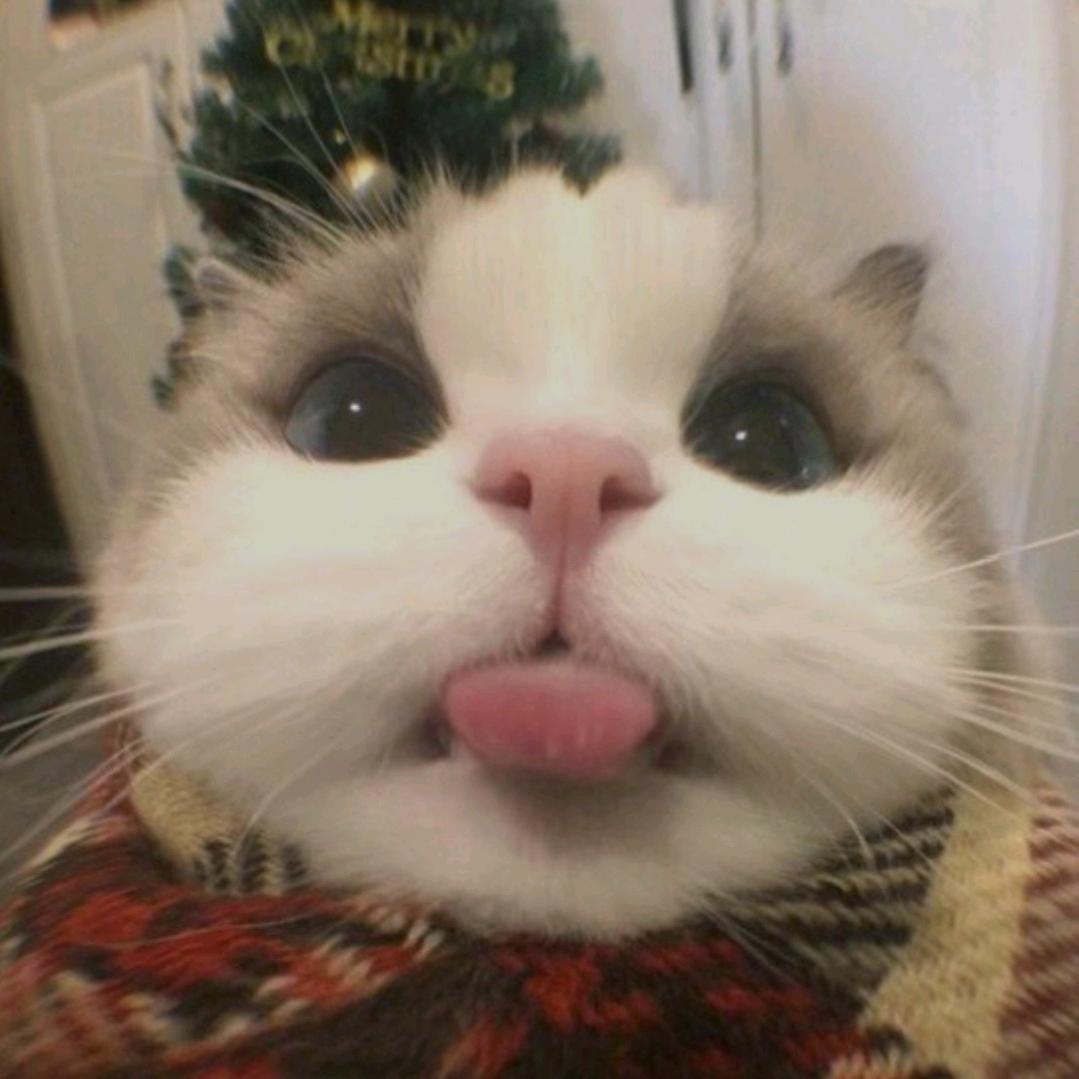 自己会玩智能机