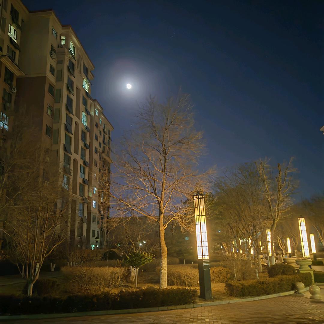 ⁽⁽ଘ( ˙难得胡涂˙ )ଓ⁾