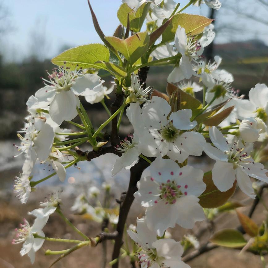 小不点🎋🏵️