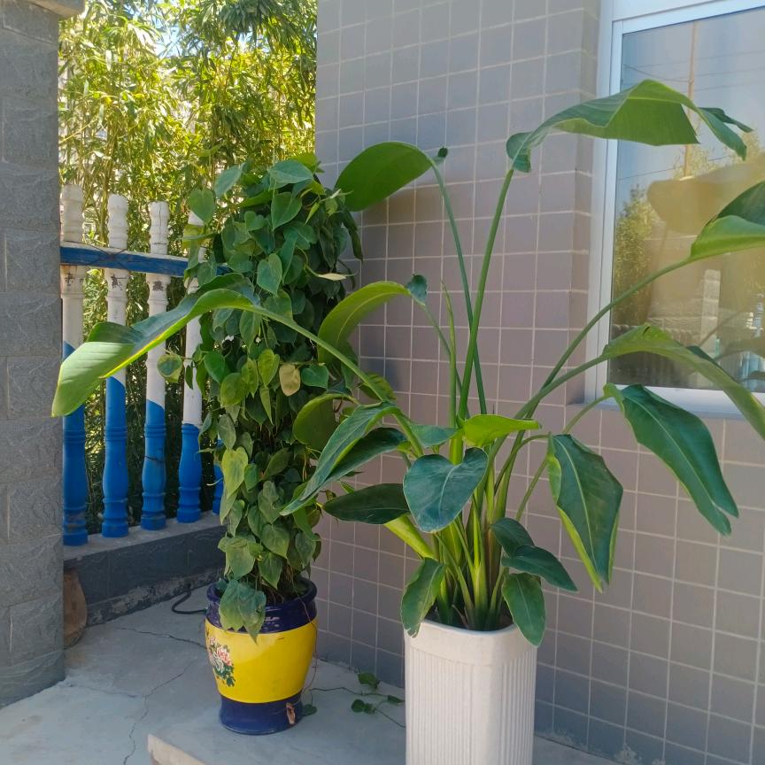 认真做事，城信做人