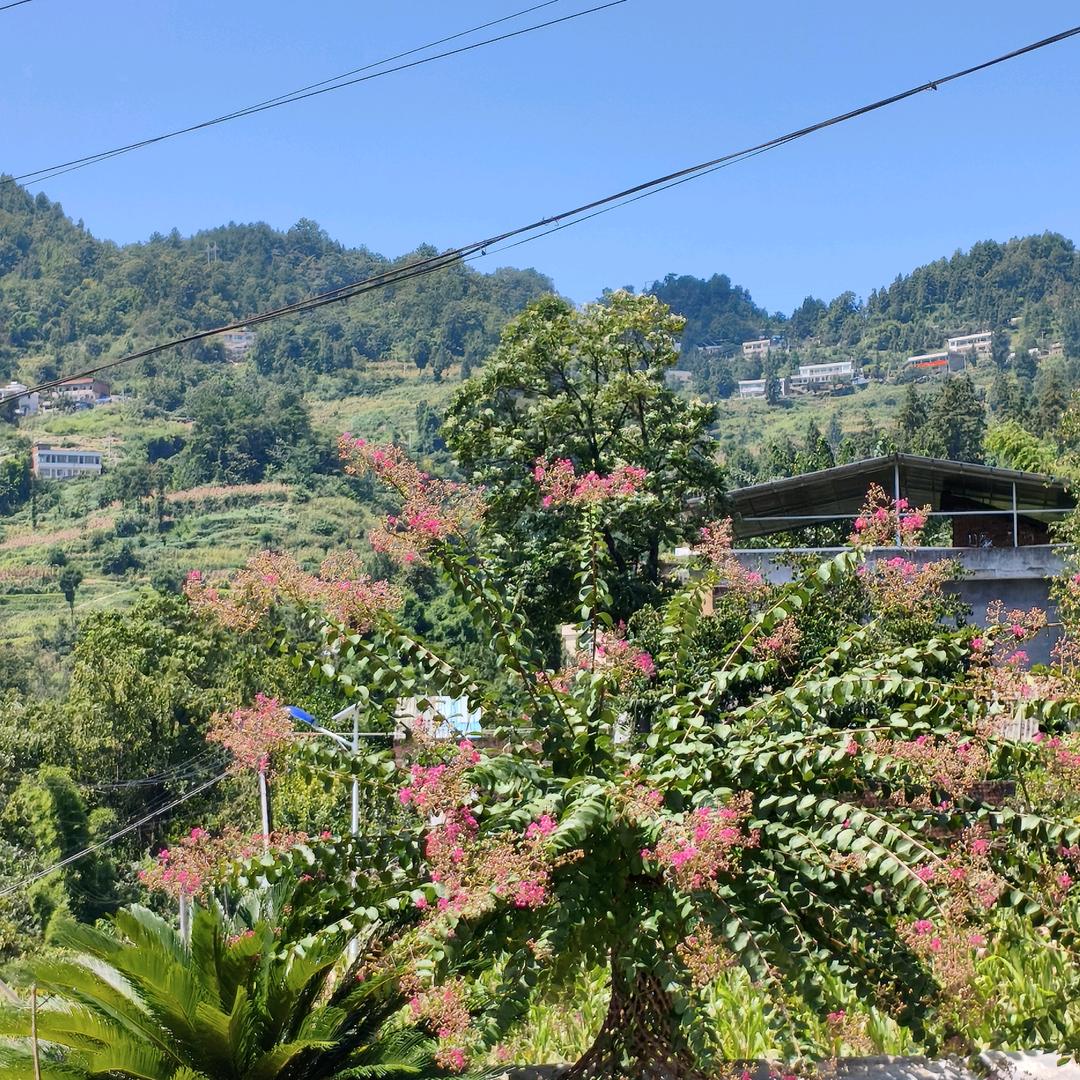 愿好人一生平安