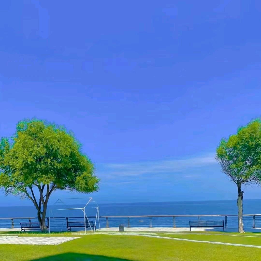 大海哥