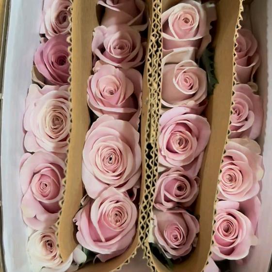 错与对，谁买单？