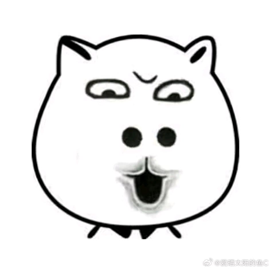 你们这些瓜皮