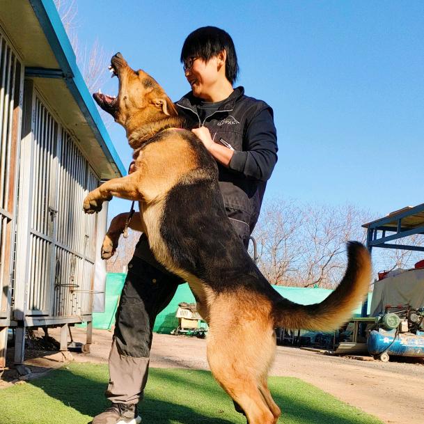 北京一皮皮昆明犬