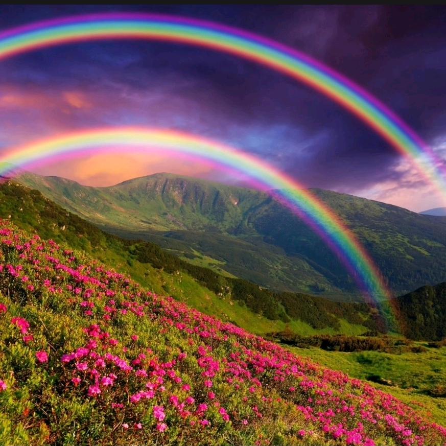 ༺ཌༀཉི雨后的天气༃ༀད༻