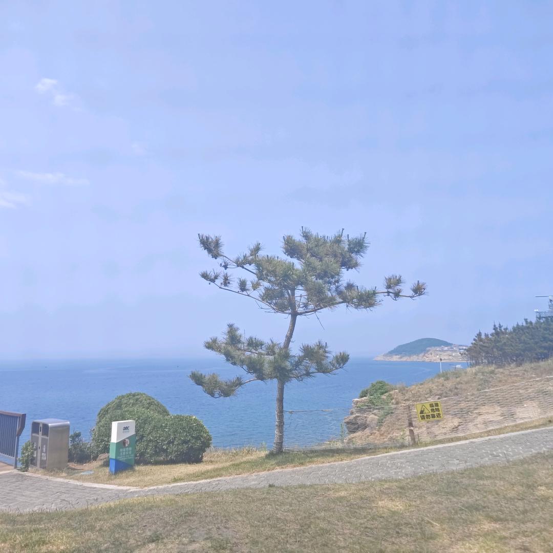 肖律师（经济纠纷）