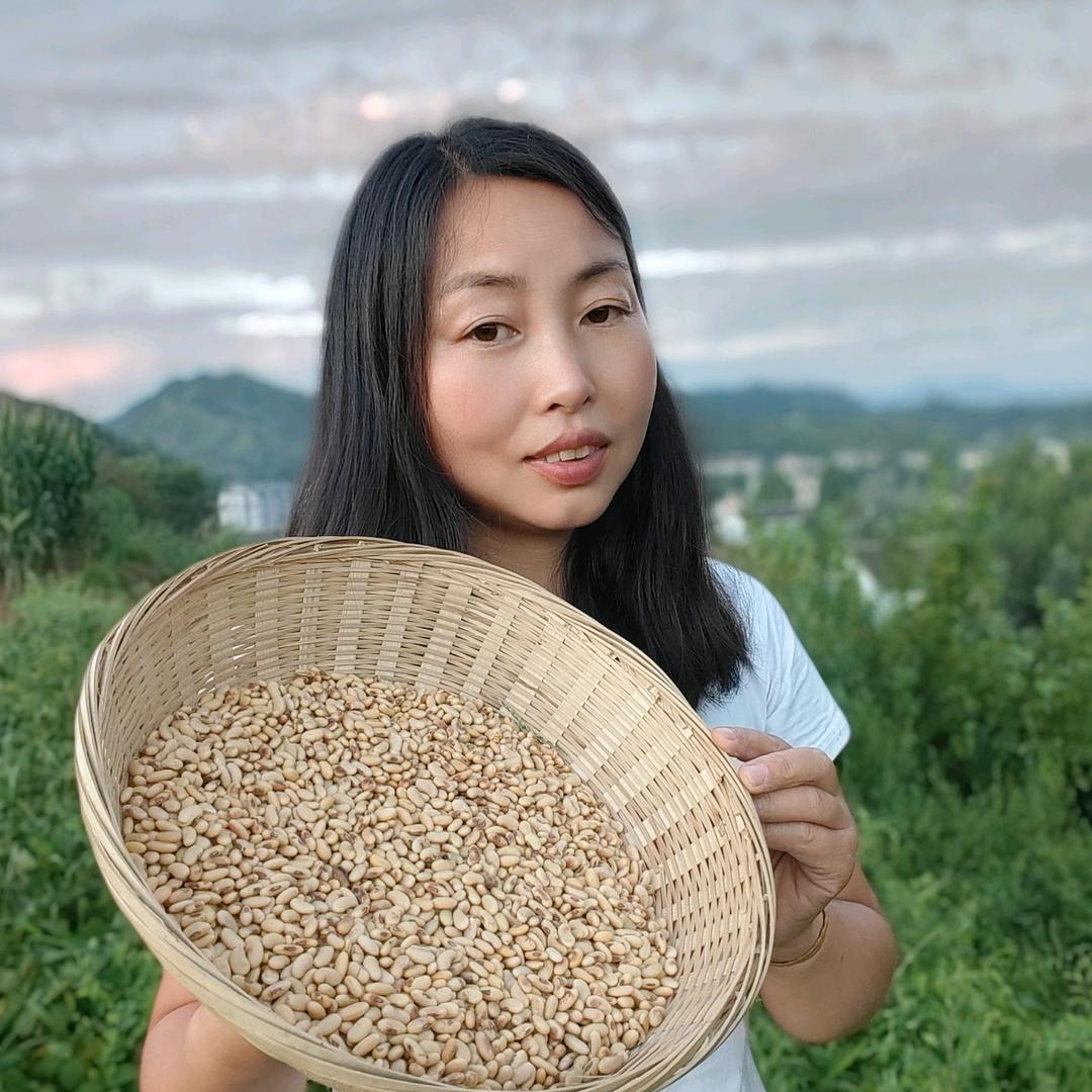 秦岭蓉子