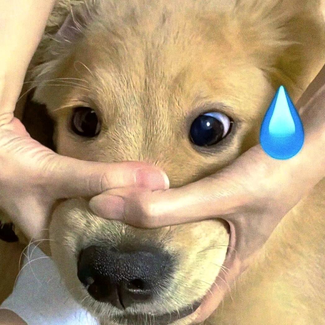 …。。