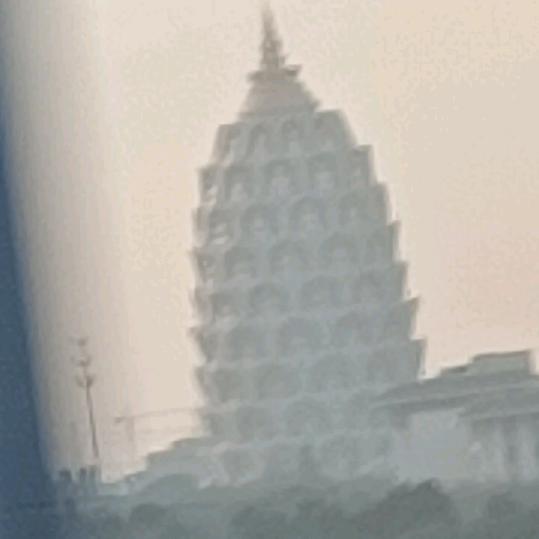 美元姐  小号试播