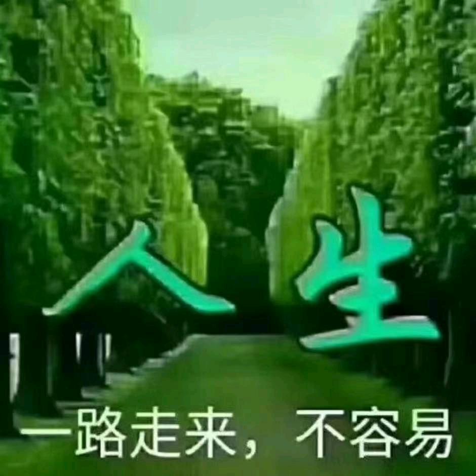 浪进天涯