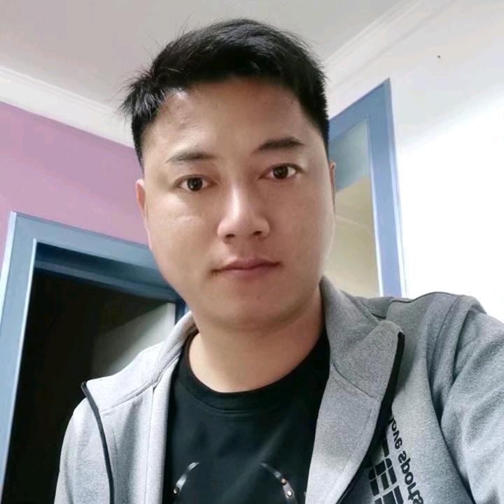 不懂黑夜的猫