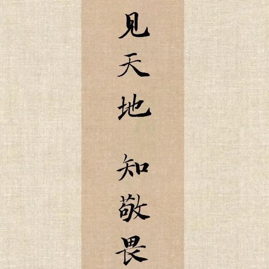 青青子衿🌿