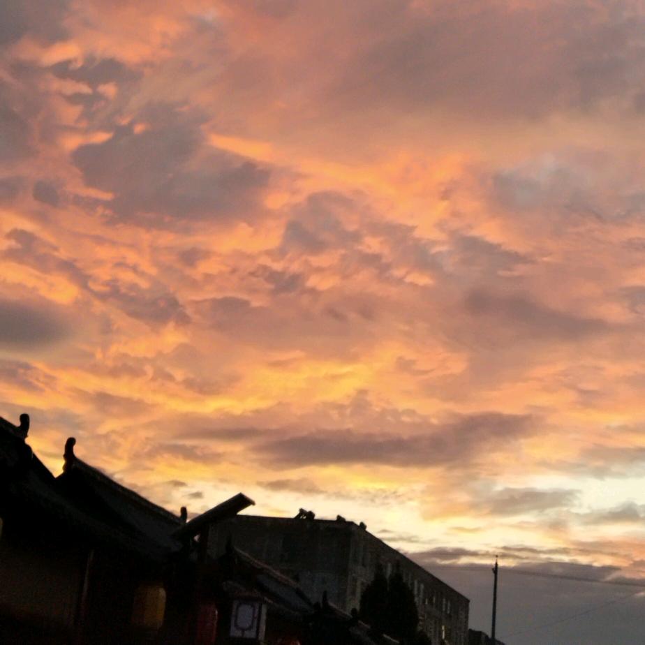 军爷(ŎдŎ|独尊