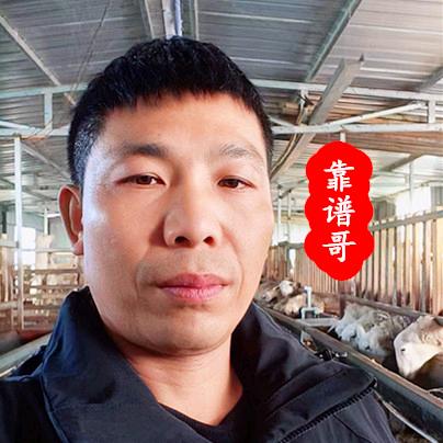 专注牛羊驱虫（靠谱哥）