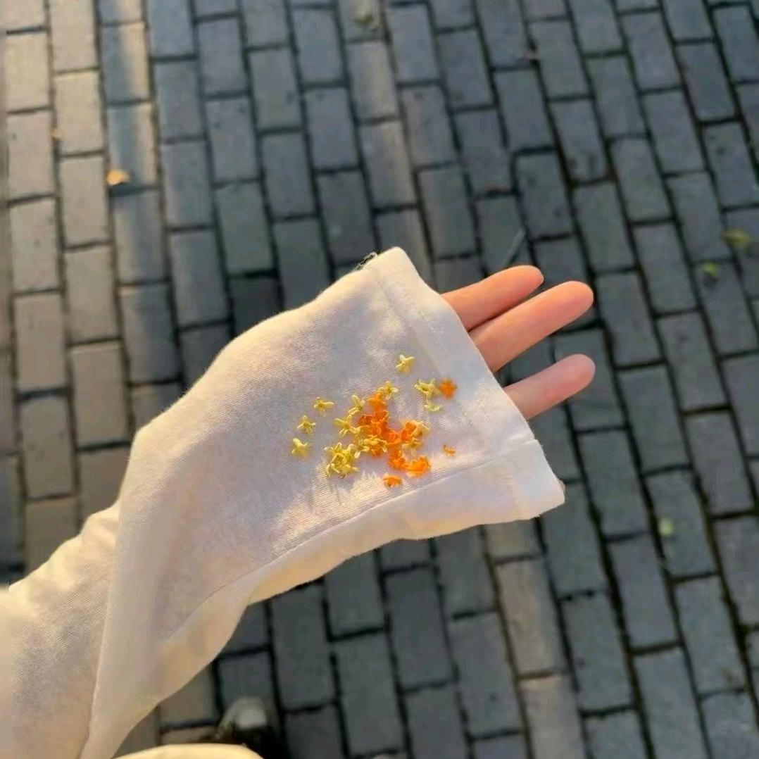 孤身坐暗巷