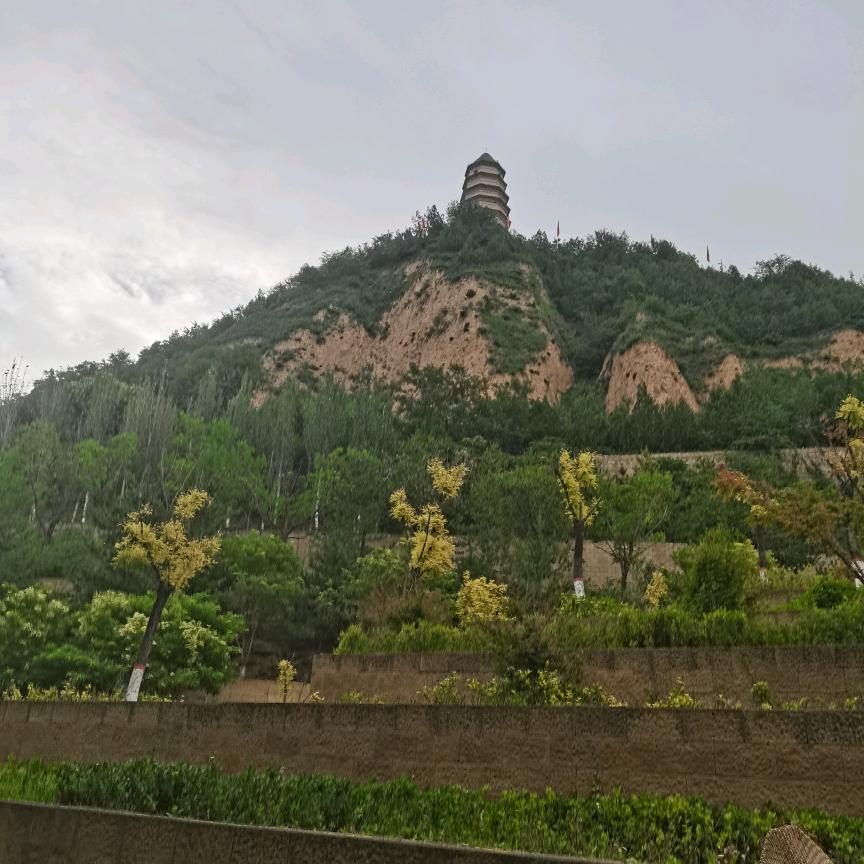 格老板