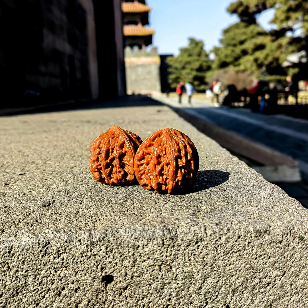 梵核.顽主