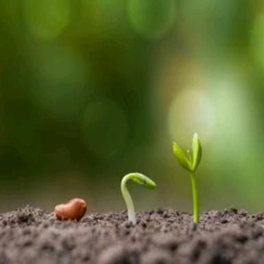 华绘常乐家庭农场