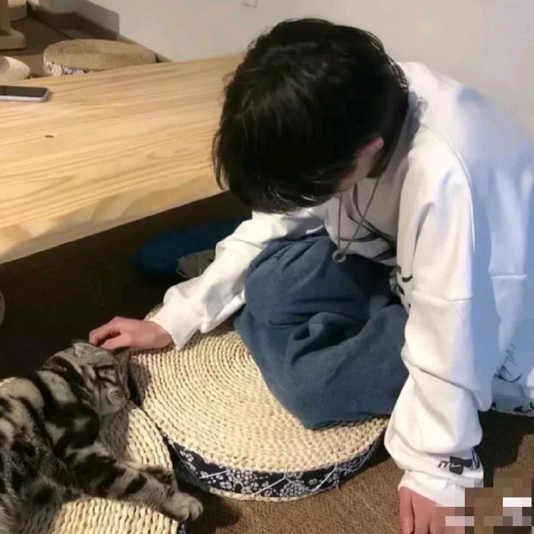 南栀