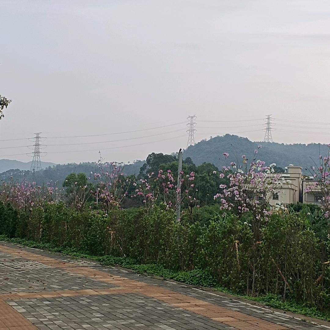 一年四季在于春