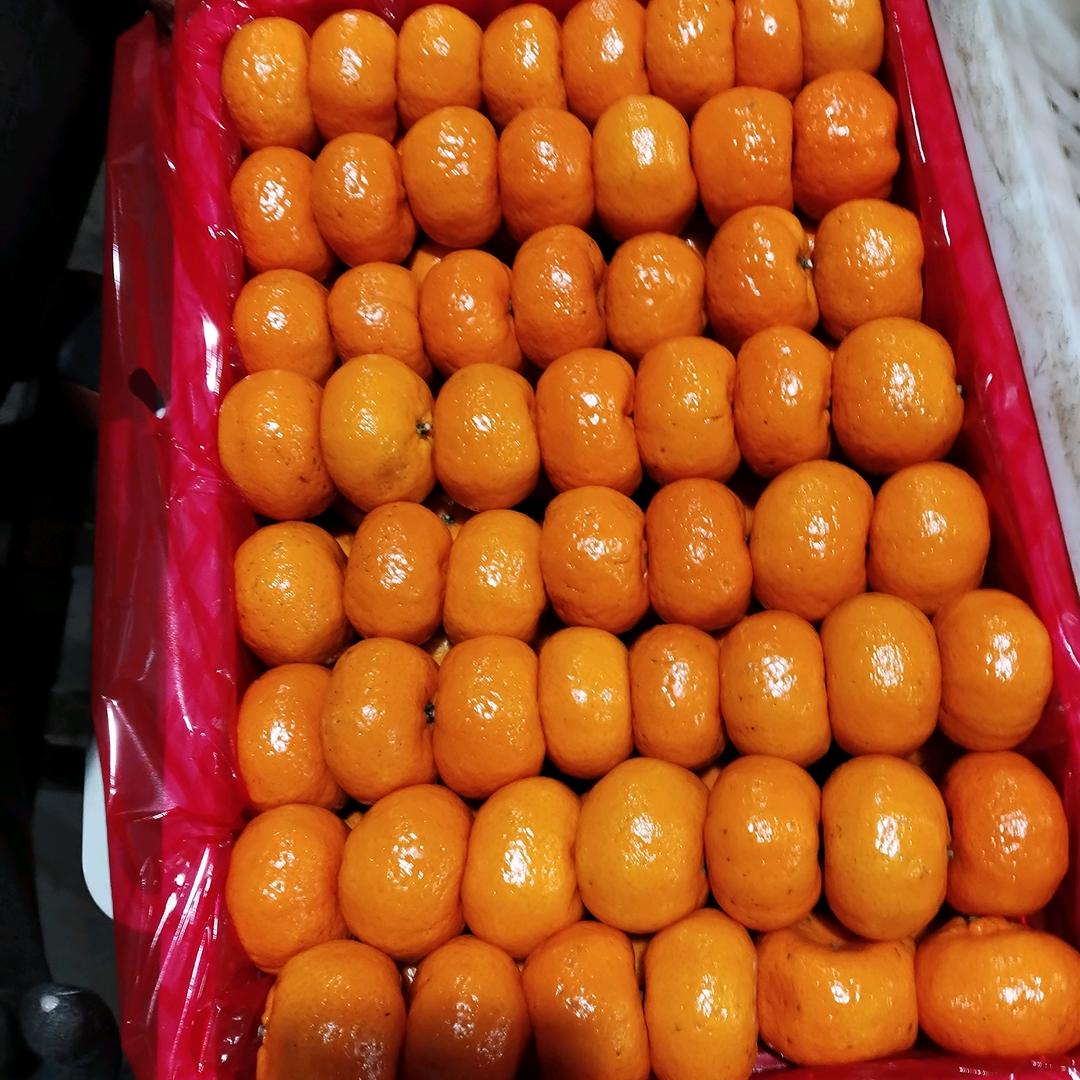 歌很寂寞
