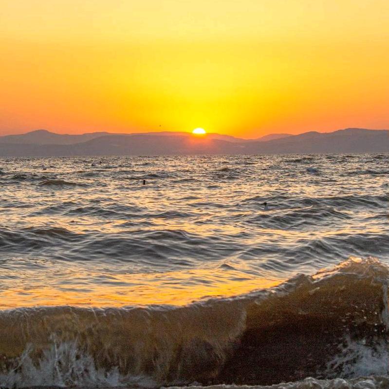 爱在落日余晖前