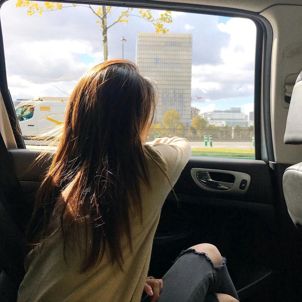 蓝桉长在洱海边.