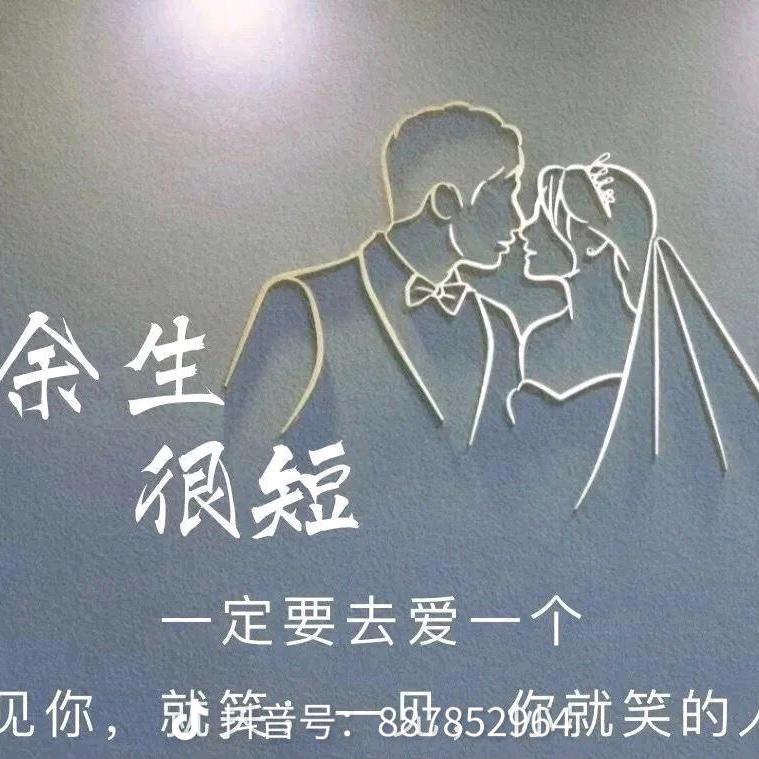 陶语清风