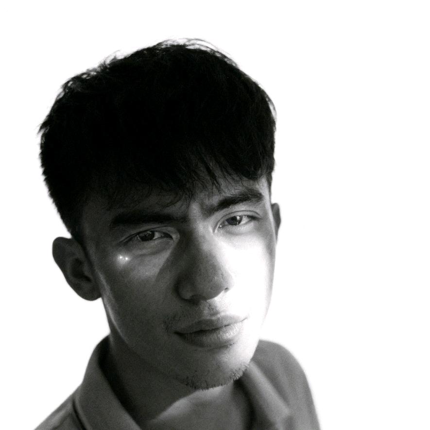 喜欢拍照的小凤梨