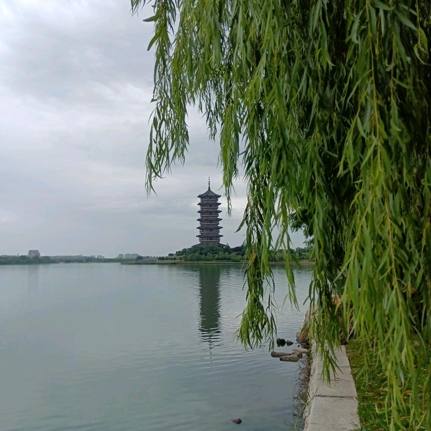 好帅爸爸