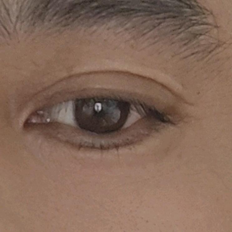 铁公鸡