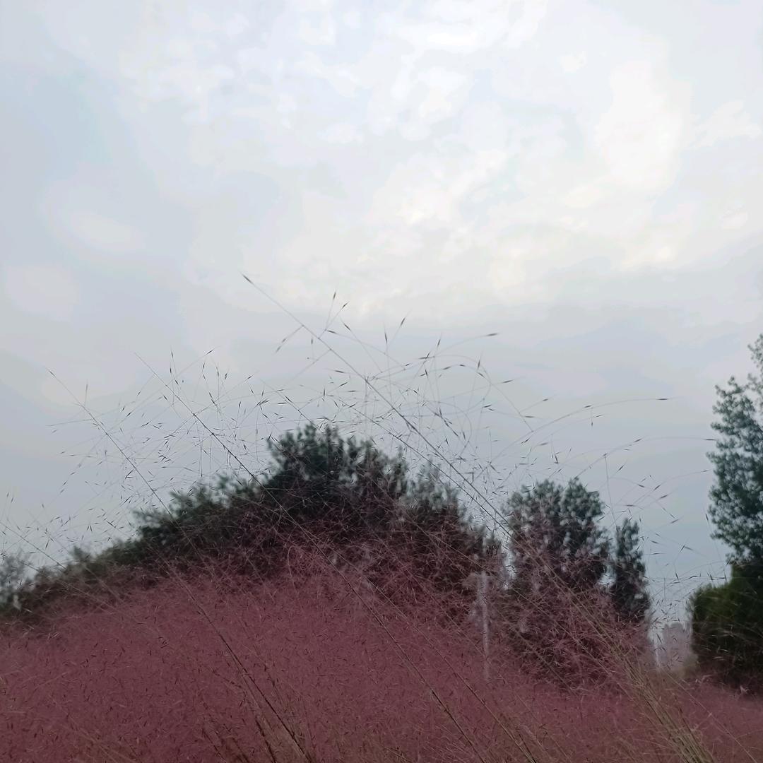 雨晴之后是彩虹
