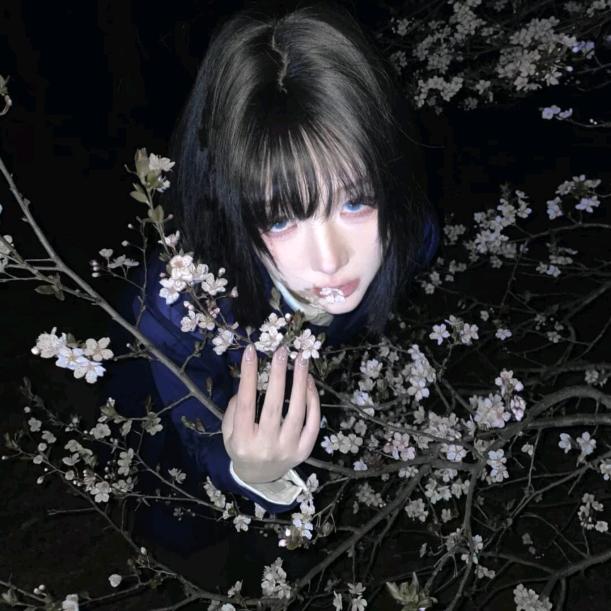 Yyyy—🦋